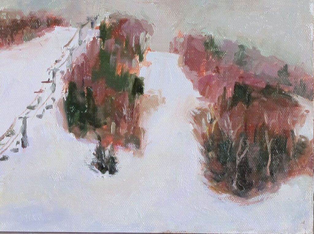 Late Day Overcast view in winter of ski slope